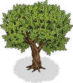 Thumbnail for version as of 12:01, 1 September 2025