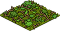 Thumbnail for version as of 14:02, 1 June 2026