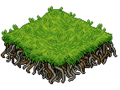 Thai c21 rootedgrass.png