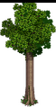Thumbnail for version as of 04:00, 23 June 2026