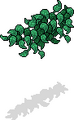 Thumbnail for version as of 08:25, 12 June 2026