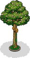 Thumbnail for version as of 21:41, 12 June 2026
